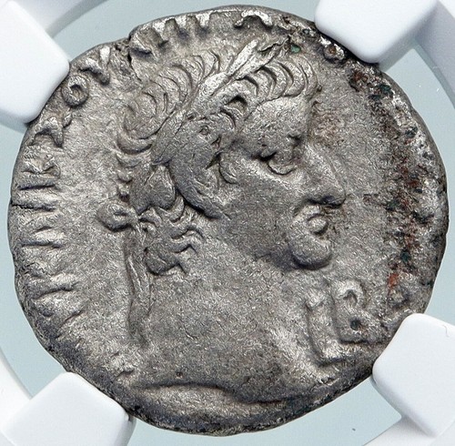 Galba rare alexandria egypt - rare,