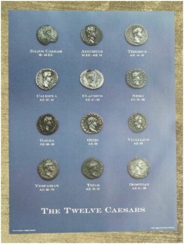 Ancient roman coin poster the - roman,