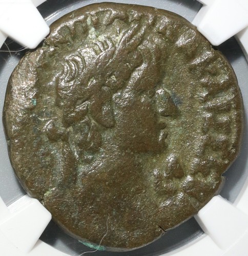 Ngc galba roman egypt - ngc,