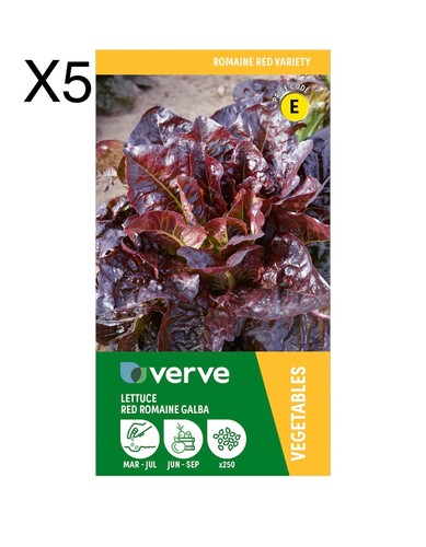 Verve lettuce red - lettuce, romaine