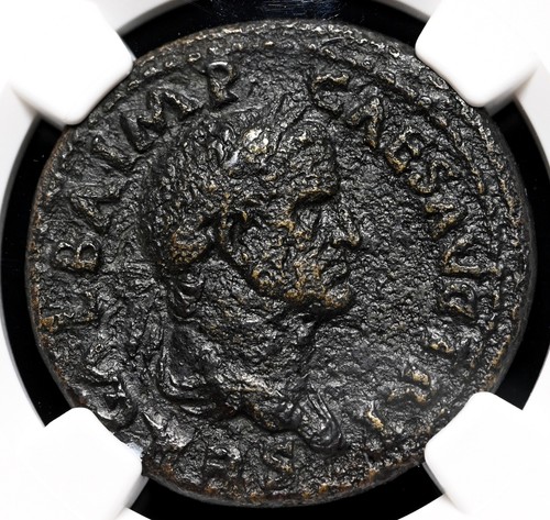 Galba æ dupondius - ad,